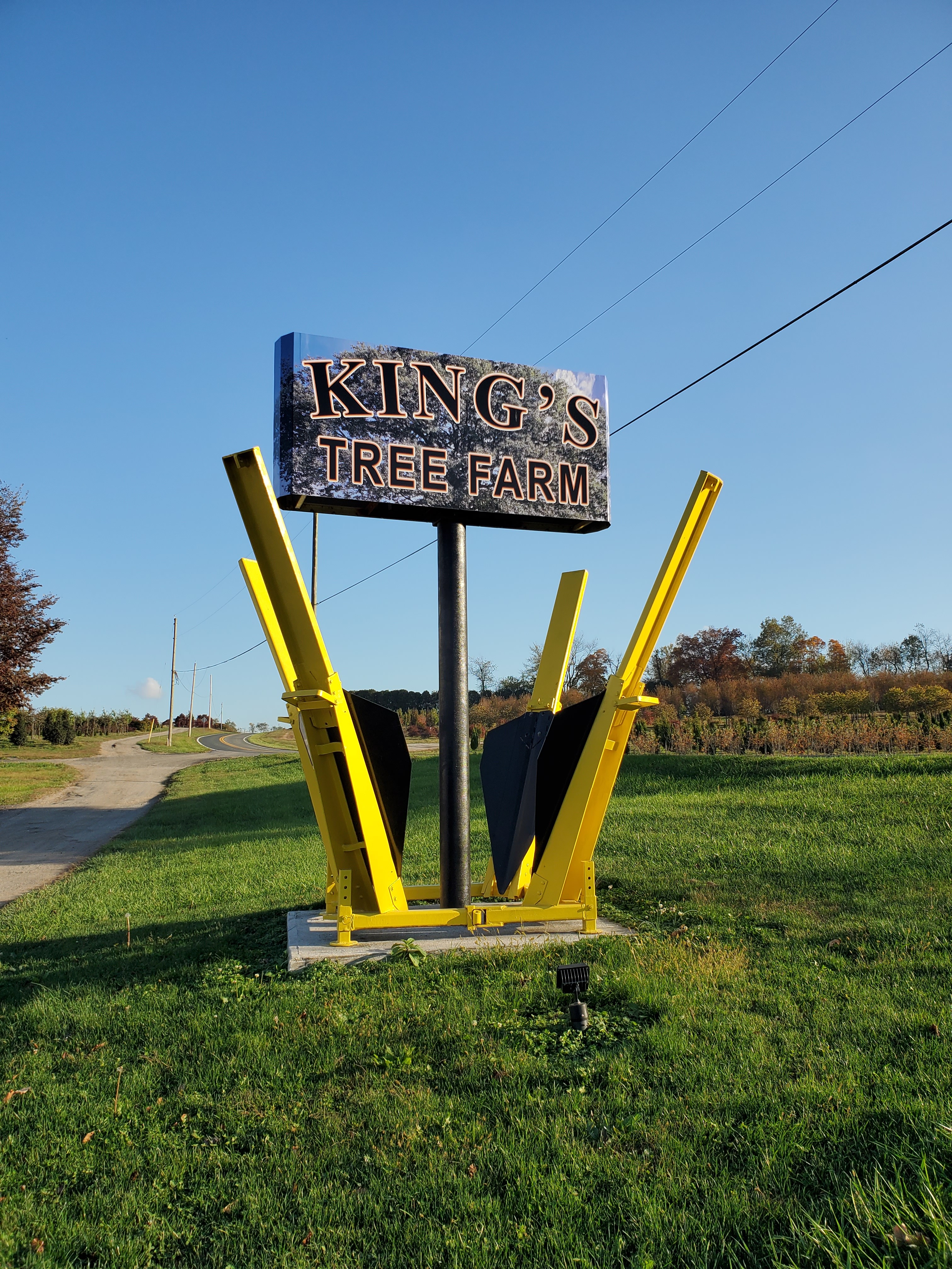 King's Tree Farm 245