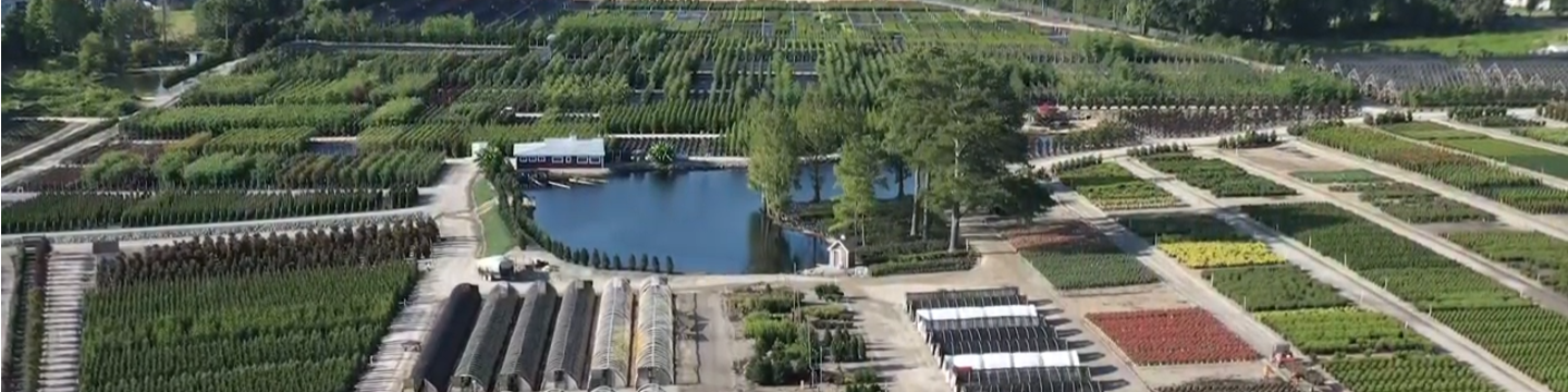 Adcock's Nursery 401