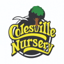 Colesville Nursery 99