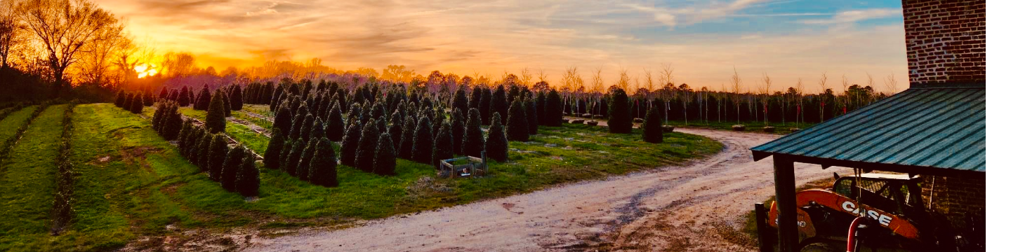 Colesville Nursery 99