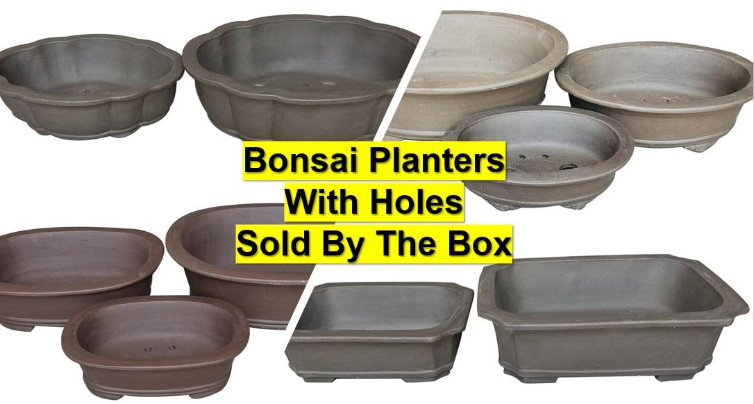 Bonsai Pottery By The Box 191