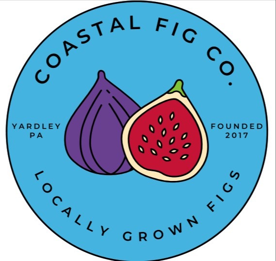 Wholesale Fig Tree Quart Size $240 Free Shipping within Tri State 195