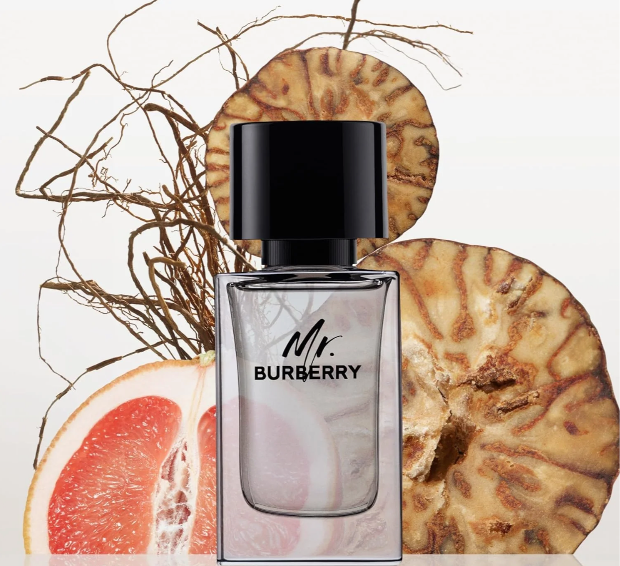 Burberry Mr. Burberry EDT Spray For Men 646