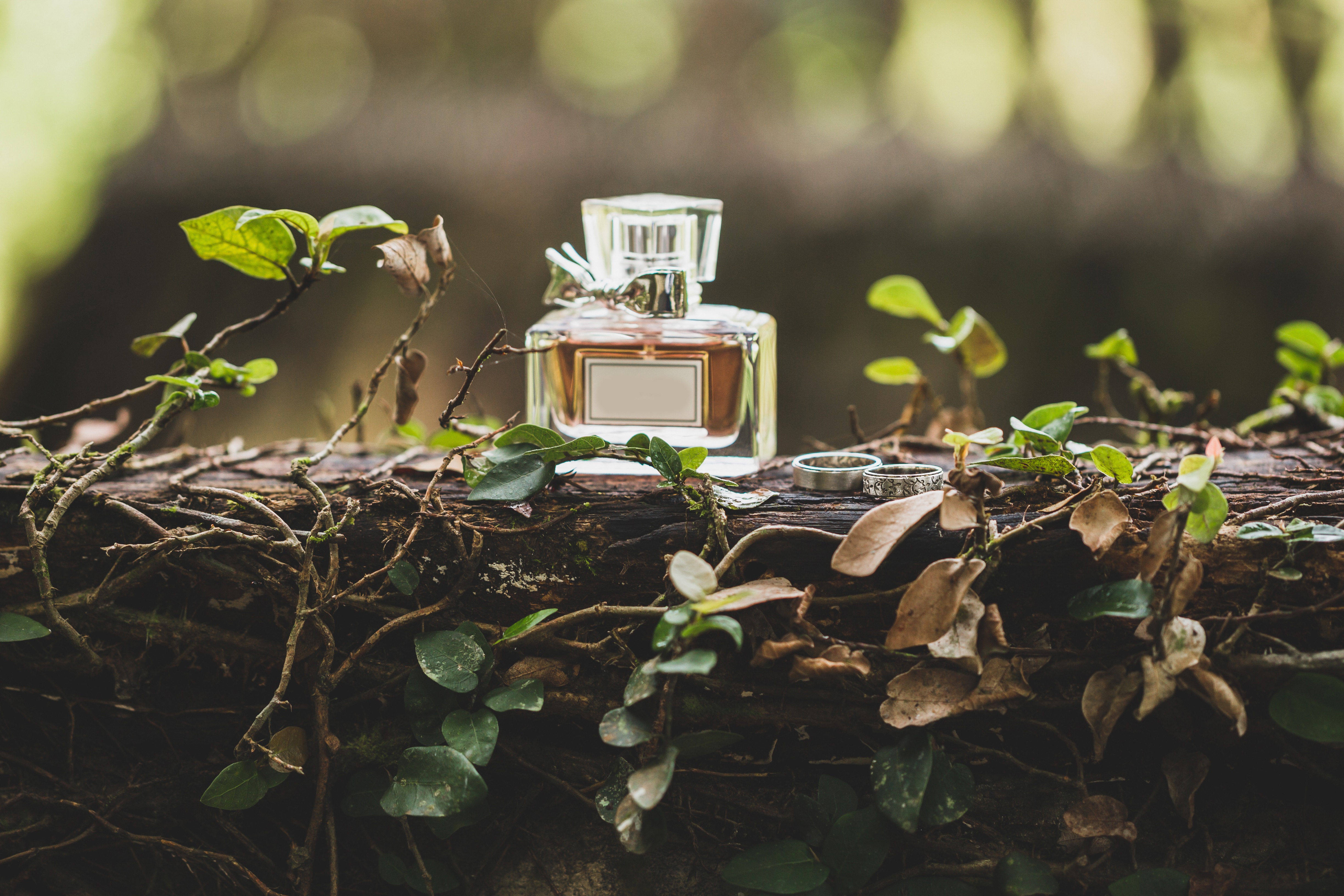 Unleash Your Fragrance's Potential: PERFUMORA Opens Doors to the Booming US Market 648