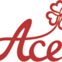 ACE Gifts Inc 972