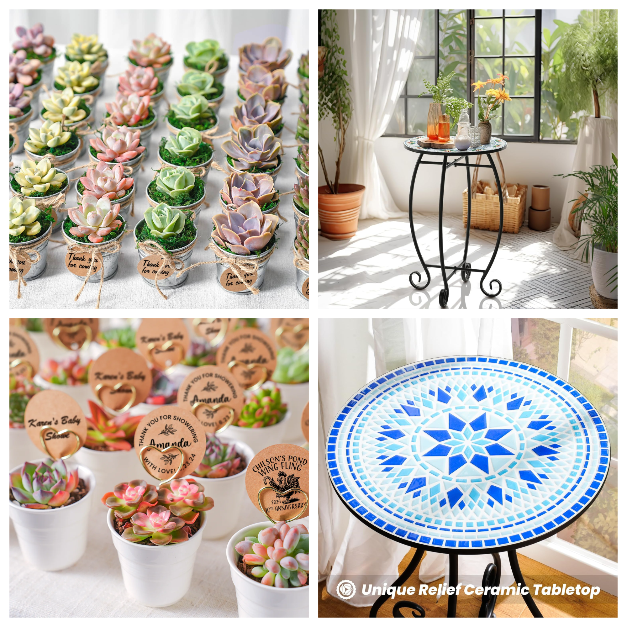 Succulent, Pebbles, Rock, Side Table, Bookshelf 1467