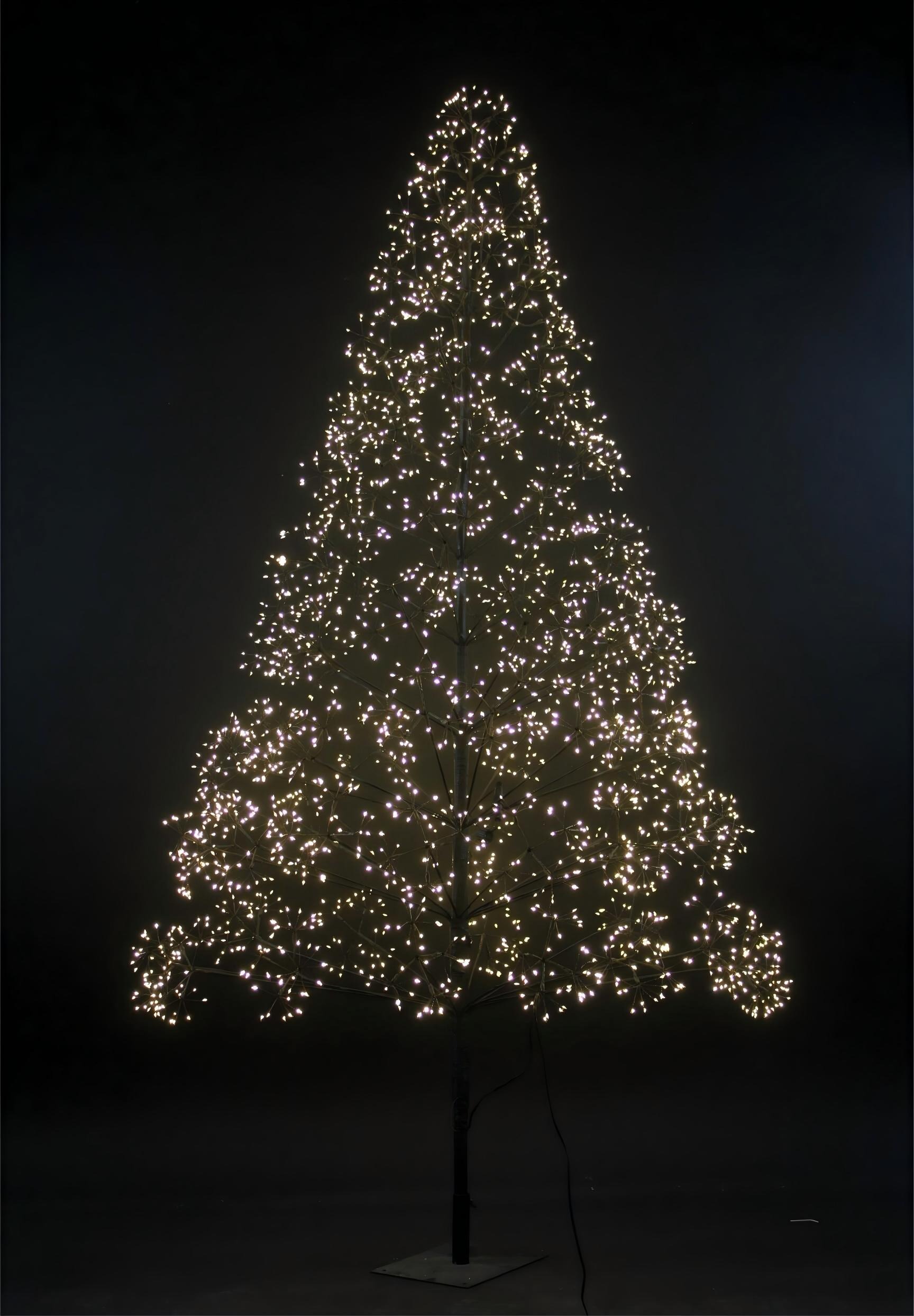 TREE LIGHT 1796