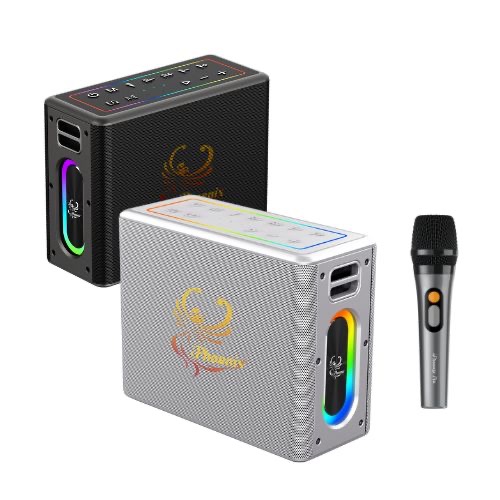 IX-60 11 HRS 100W BT WIRELESS DUAL STEREO PAIRING SPEAKER 528