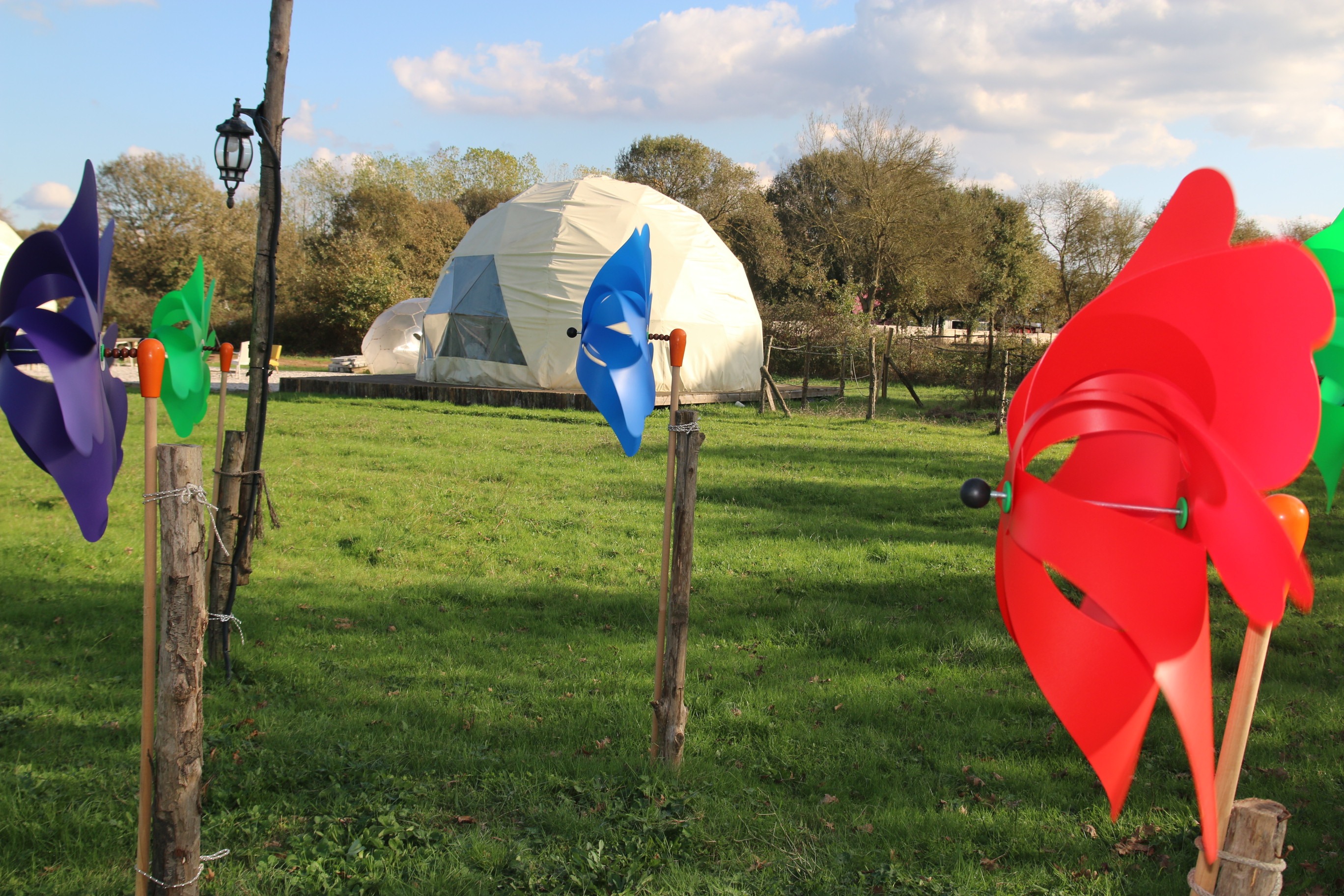 Pınwheel  Everywhere 690