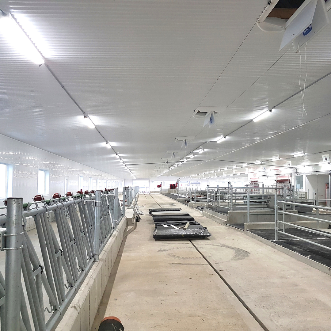 Découvrez nos réalisations en éclairage 39