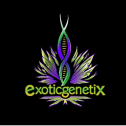Exotic Genetix 194