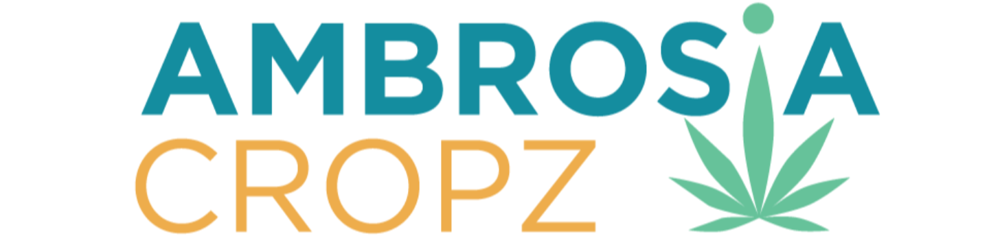 Ambrosia Cropz 531