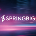 Springbig 728