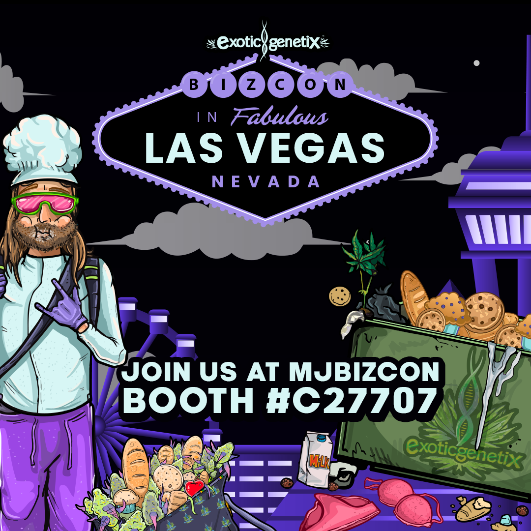 Receive 10% OFF! Code: MJBIZCON25EGHUB 373