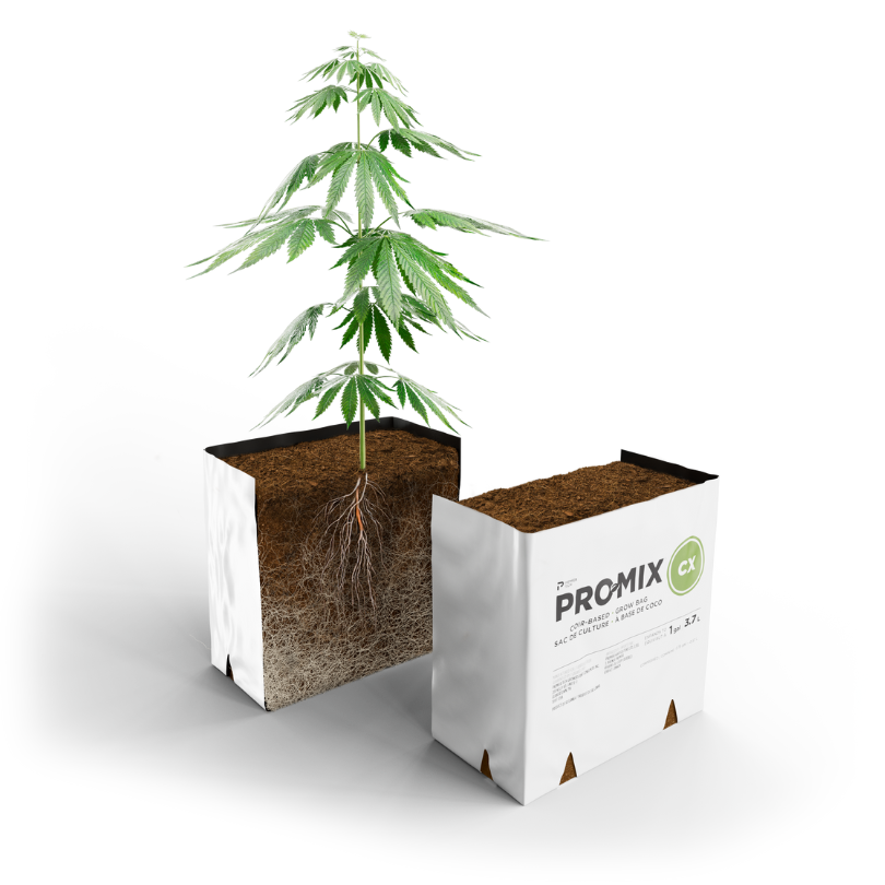 PRO-MIX® CX Grow Bags 457
