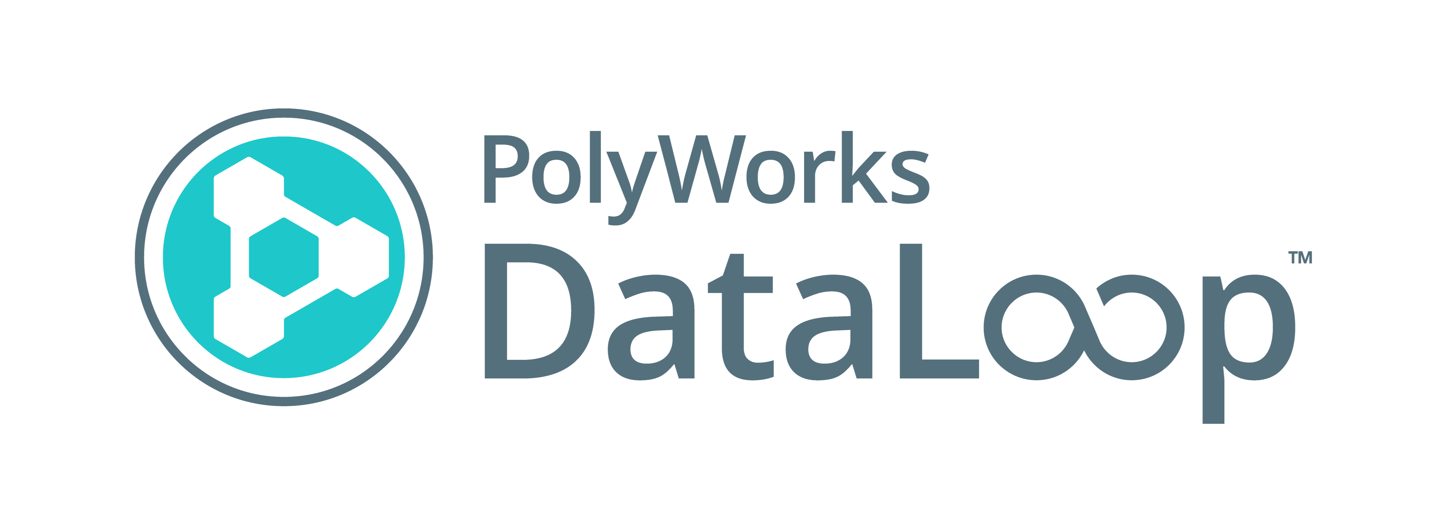 PolyWorks|DataLoop 33