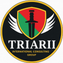 Triarii International Consulting Group LLC 263