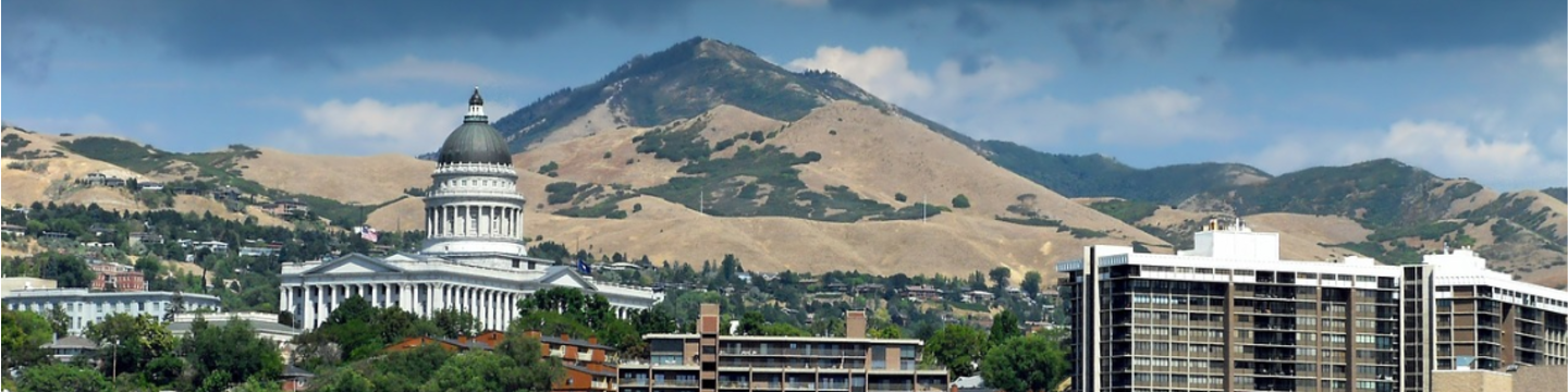 Direct Electron, LP 28