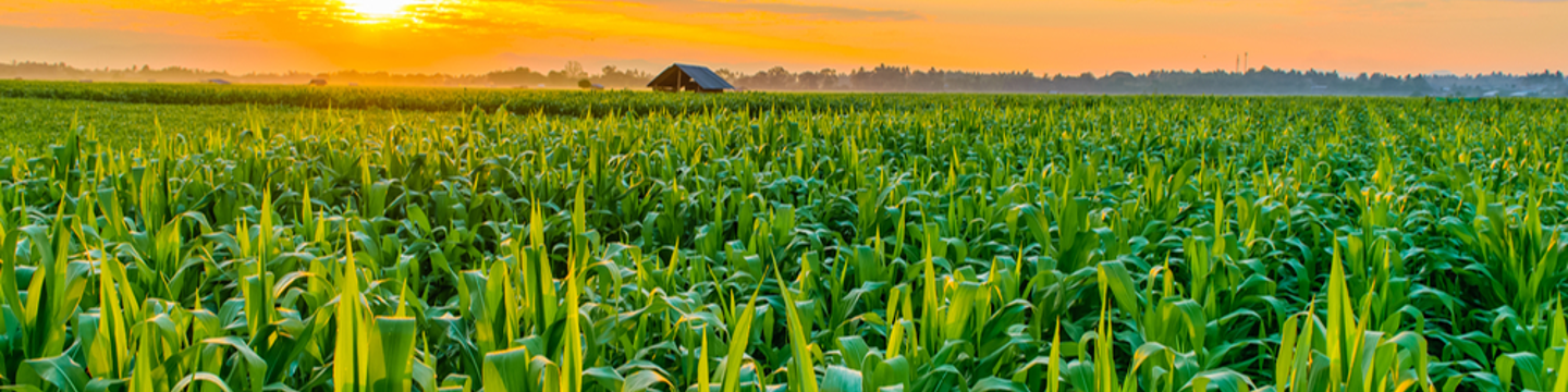 Midwest Bio-Tech 326