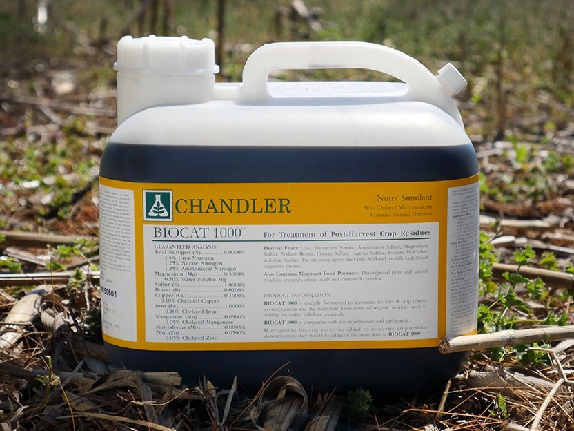 Chandler Biocat 1000 193