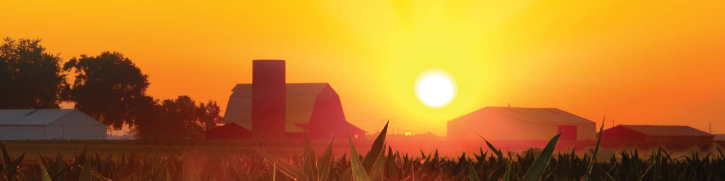 Midwest Bio-Tech 294