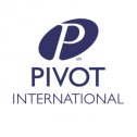 Pivot International 534