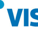 Vision InfoSoft 113
