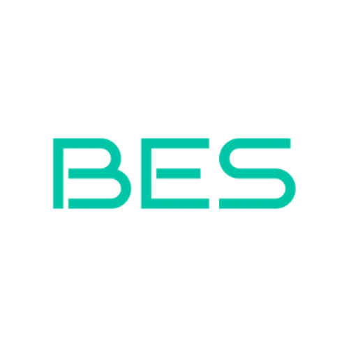 BES 381