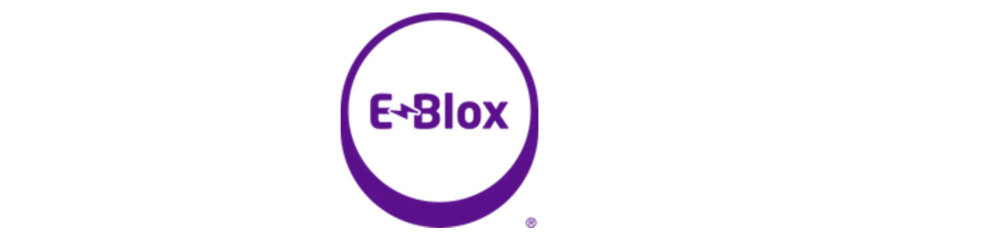 E-Blox Inc. 46