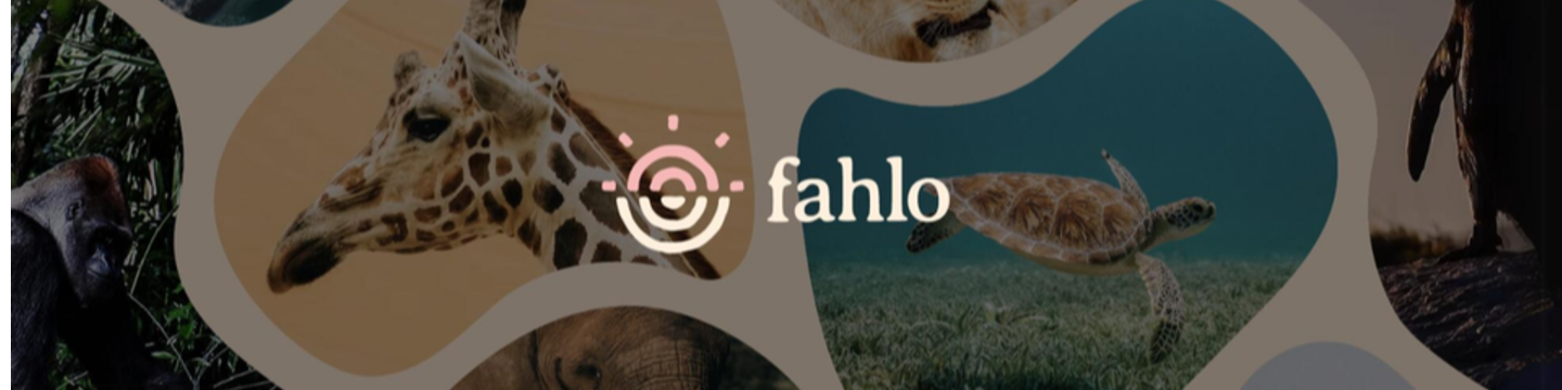 Fahlo LLC 90