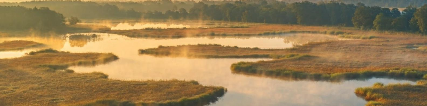 American Society of Landscape Architects - New Jersey Chapter 658