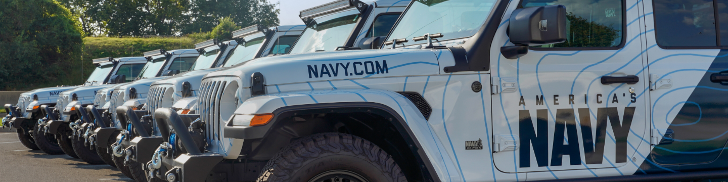 America's Navy - The Strike Group 233