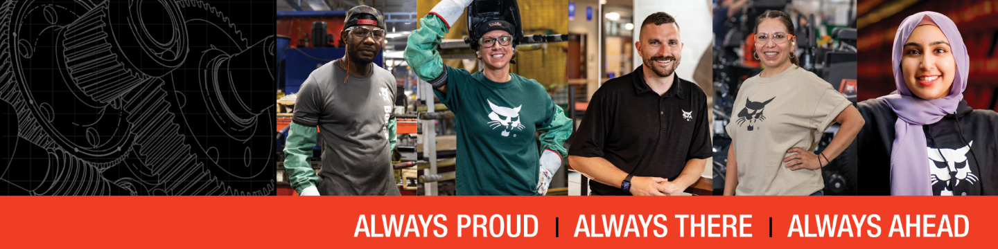 Bobcat North America 238