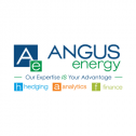 Angus Energy 193