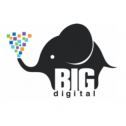 BIG Digital 1004