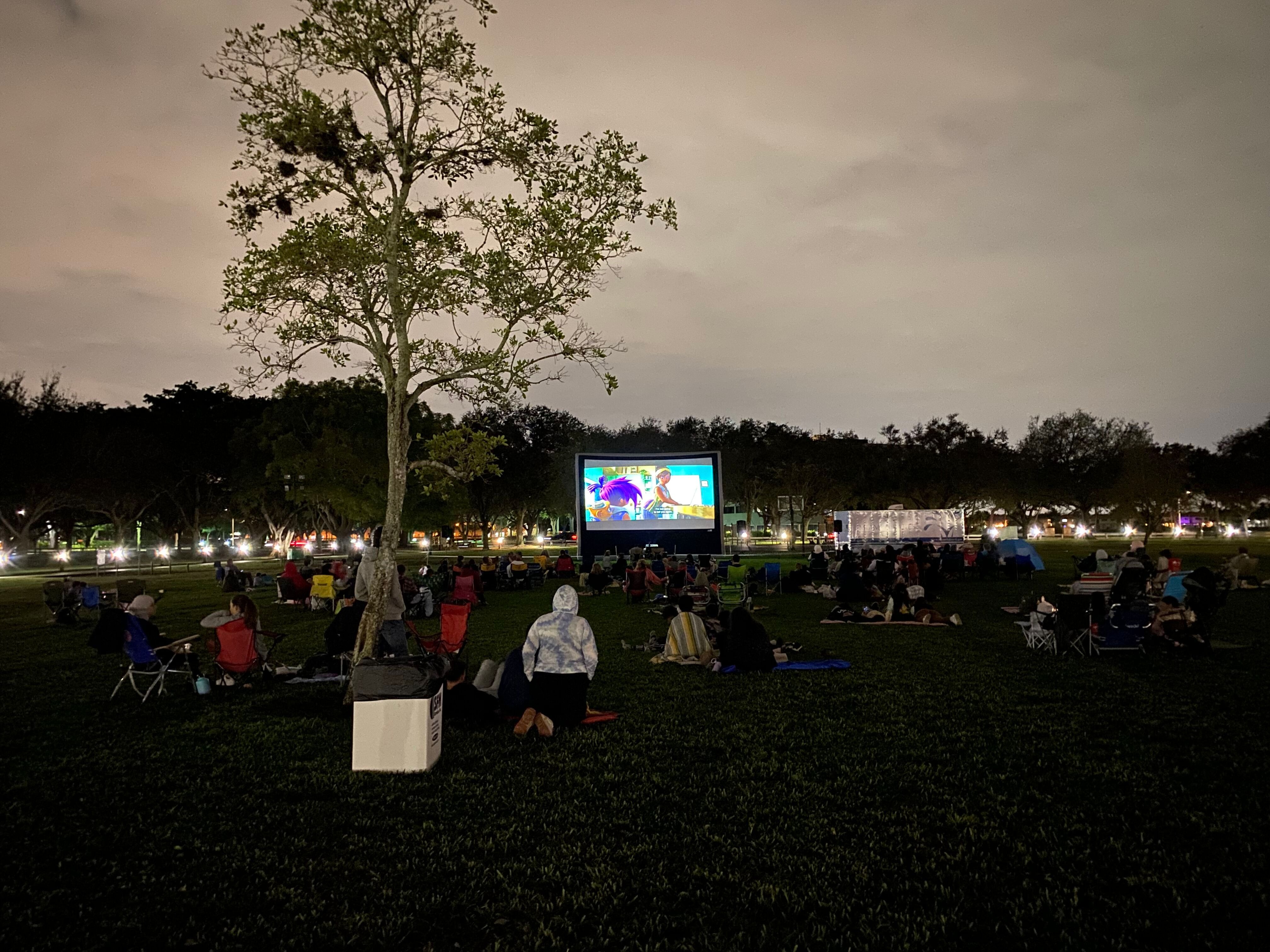 Pre-order special for the NEW Epic Premier 30ft Screen! 480