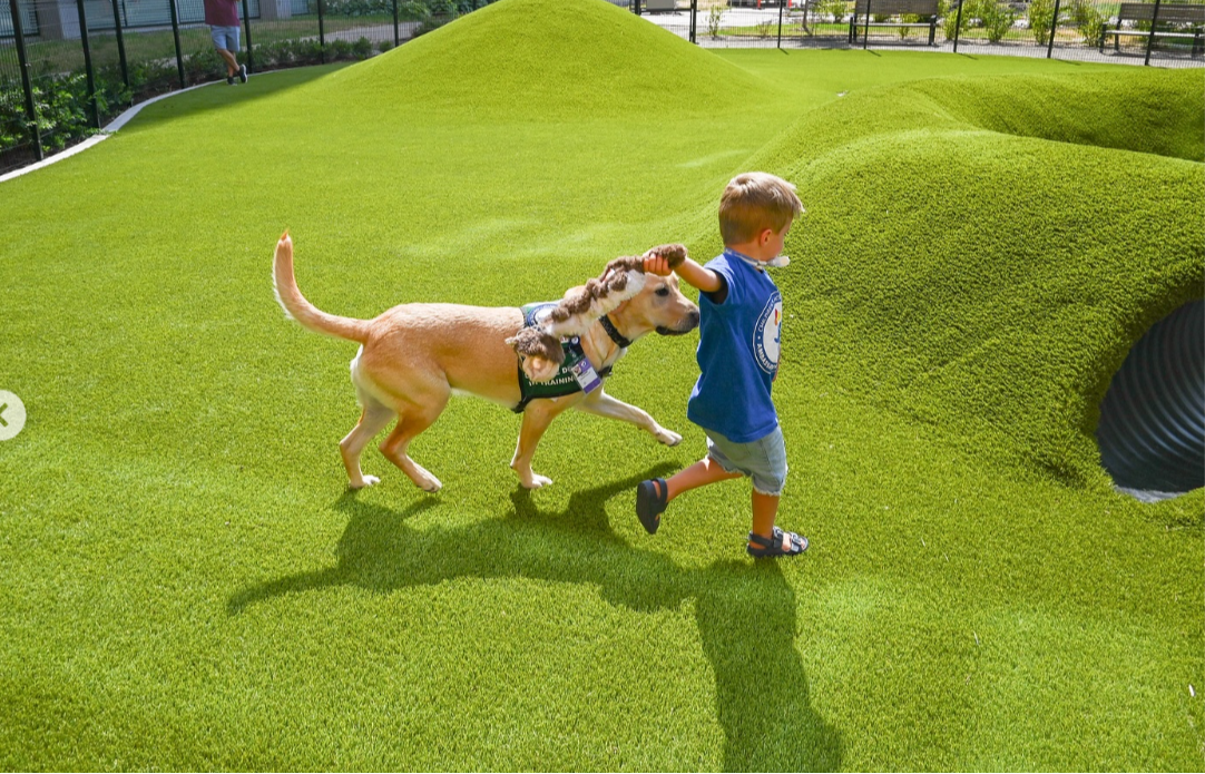 New Dog Park at Children's Hospital of Colorado: A place to let off steam 492