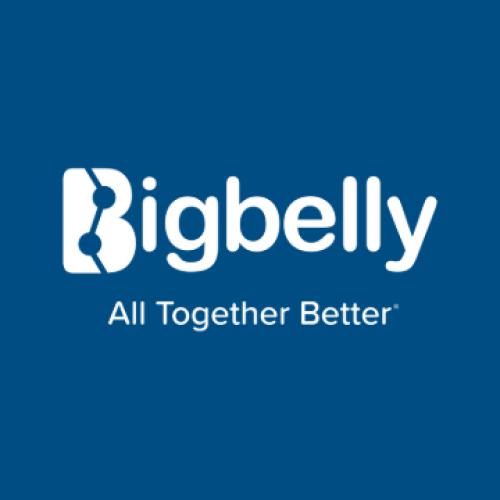 Bigbelly 497