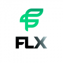 FLX Systems 386