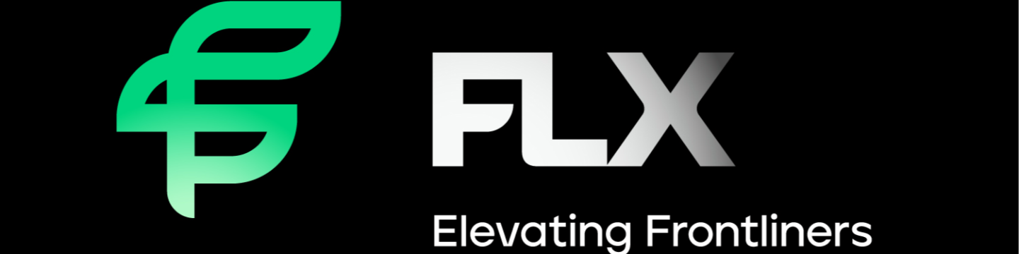FLX Systems 386