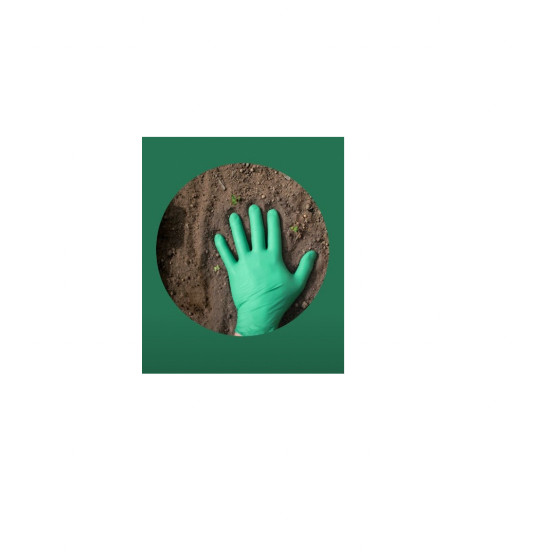 Biodegradable Gloves 1428