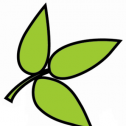Zanfel Laboratories, Inc. 219