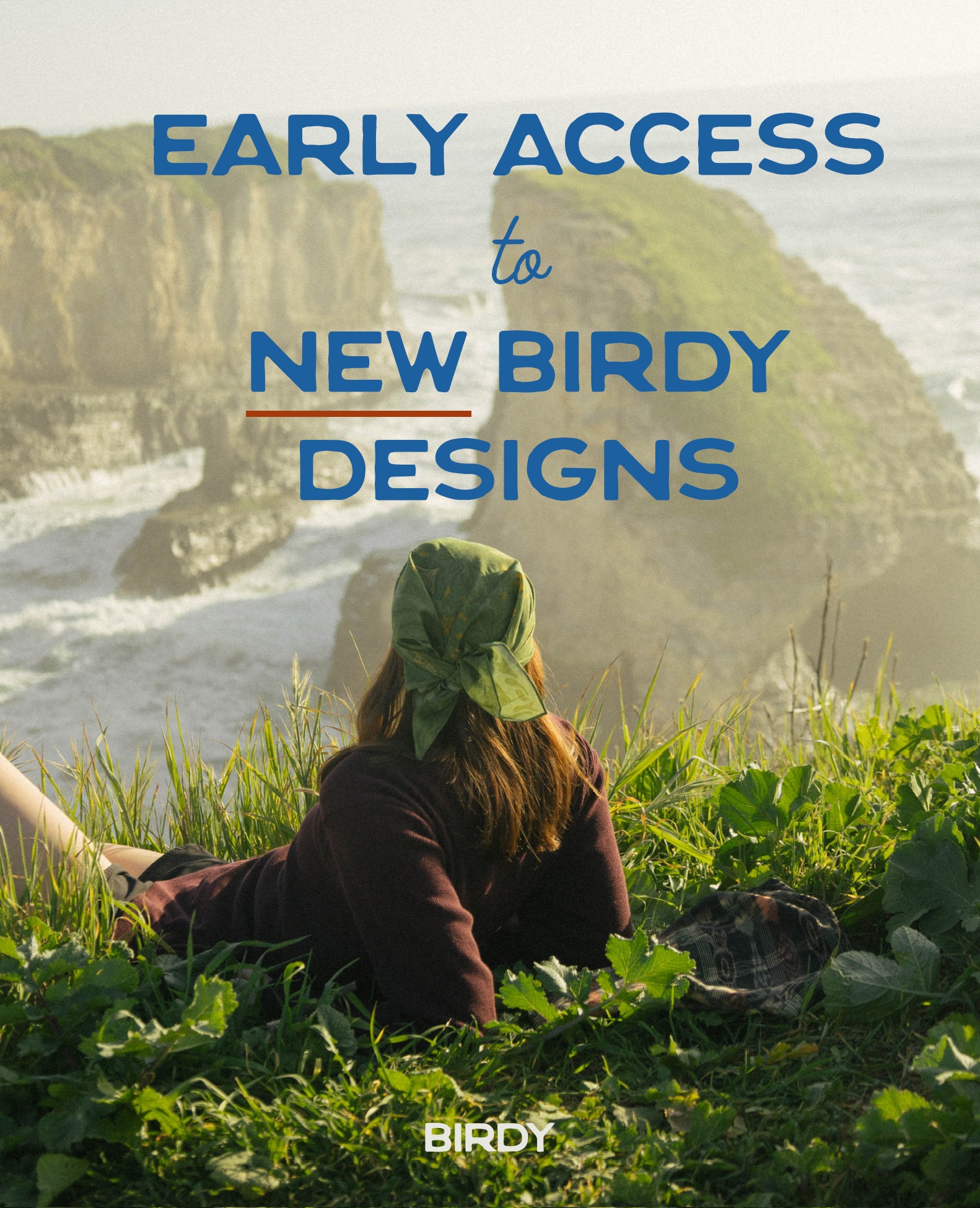 Early Access to New Design Launches 179