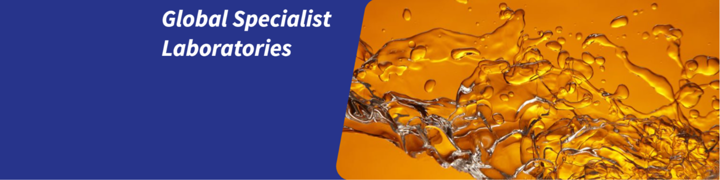 Scaled Solutions USA 19