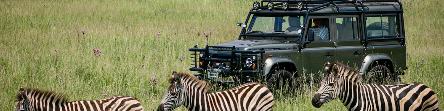 Classic Overland 251