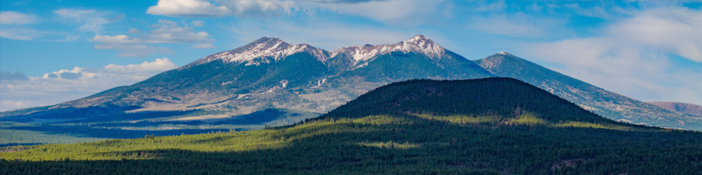 Village Camp Outdoor Resort 428