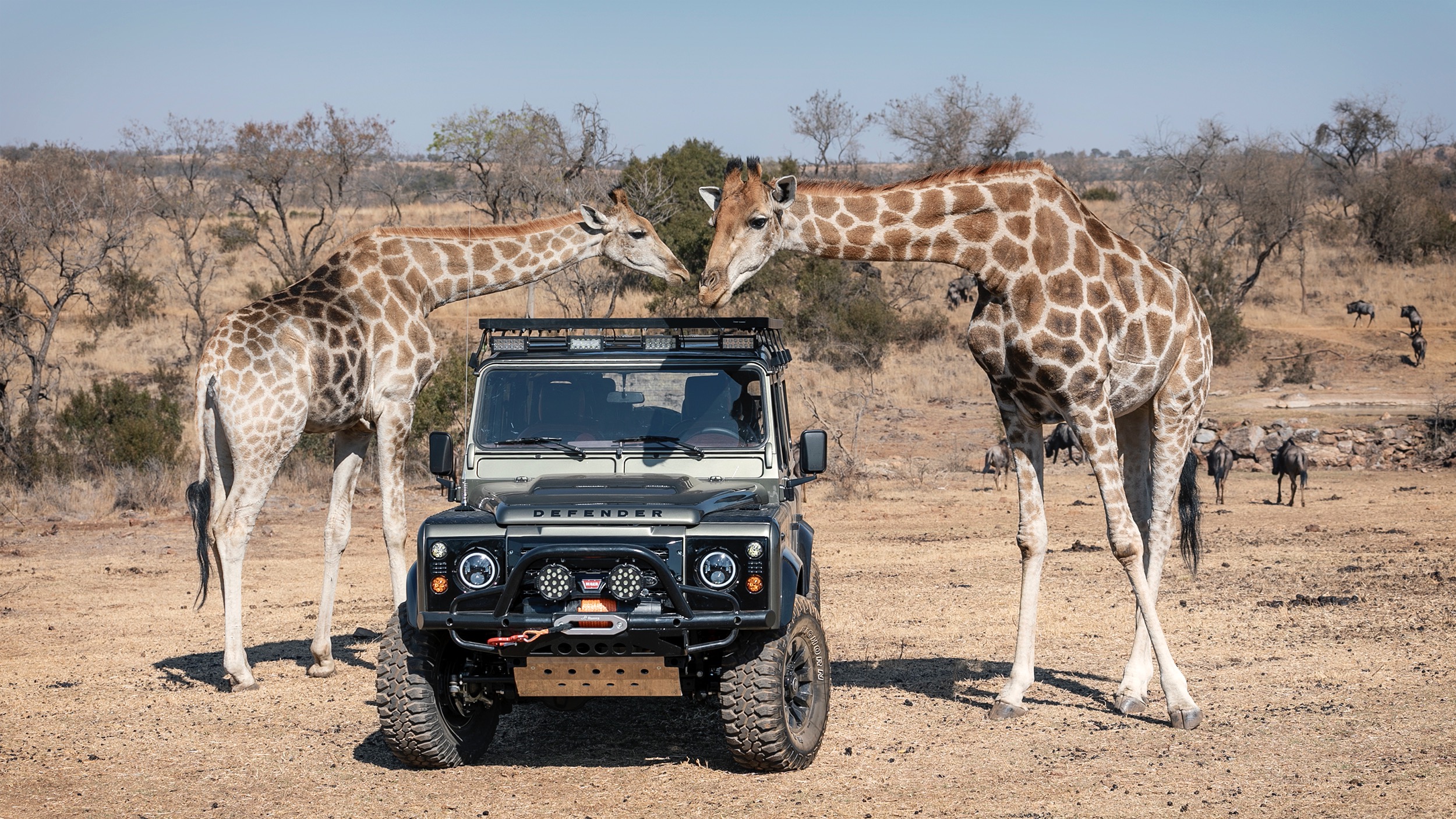 We Make Defenders Do Anything Except Fly 40