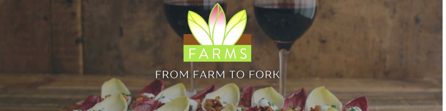 California Endive Farms 133