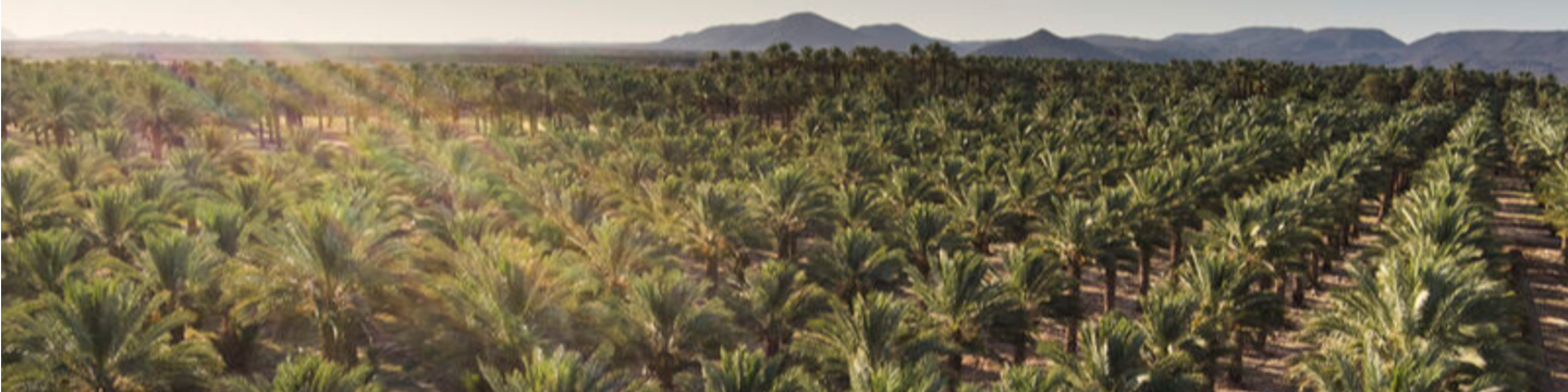 Bard Valley Natural Delights 185