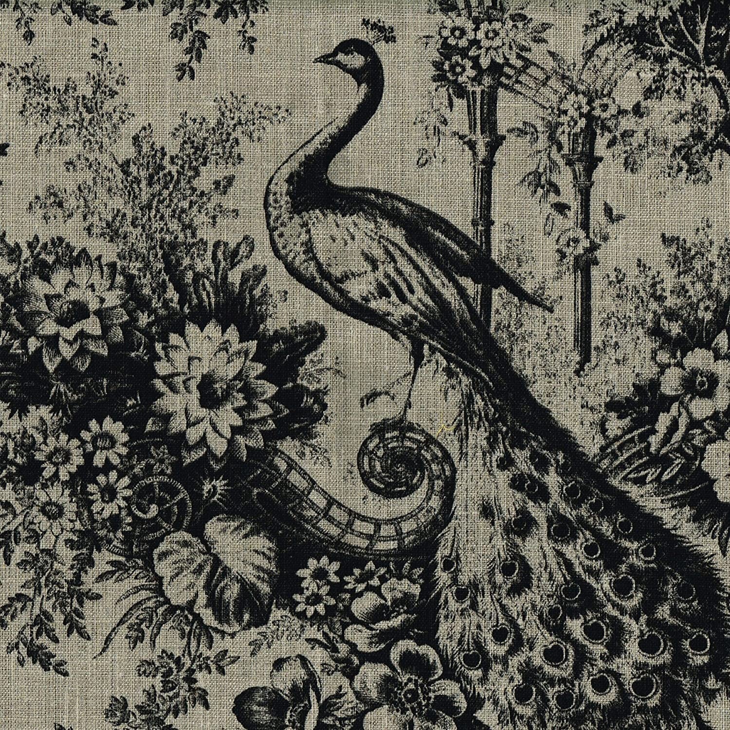 b1f0ofkwe-s._ac_sl1500_.jpg